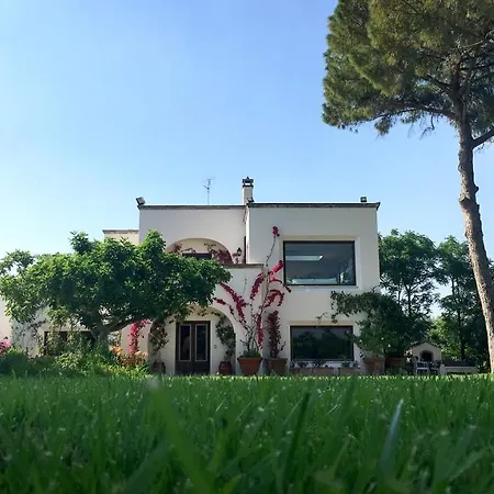 Tenuta Donnanna Agriturismo&glamping
